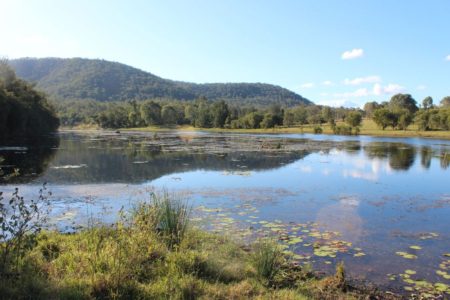 Burrundon | Rural Lakeside Photoshoot Location | Somerset, QLD