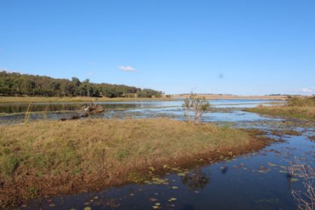 Burrundon | Rural Lakeside Photoshoot Location | Somerset, QLD