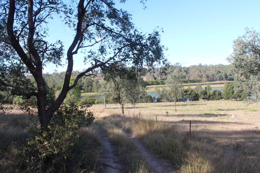 Burrundon | Rural Lakeside Photoshoot Location | Somerset, QLD
