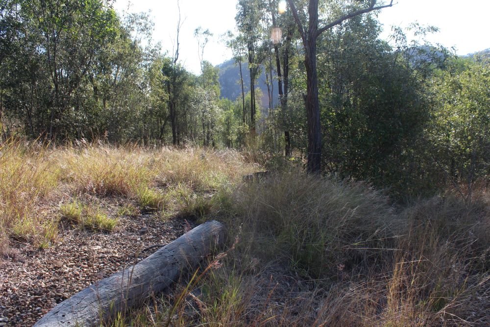 Burrundon | Rural Lakeside Photoshoot Location | Somerset, QLD