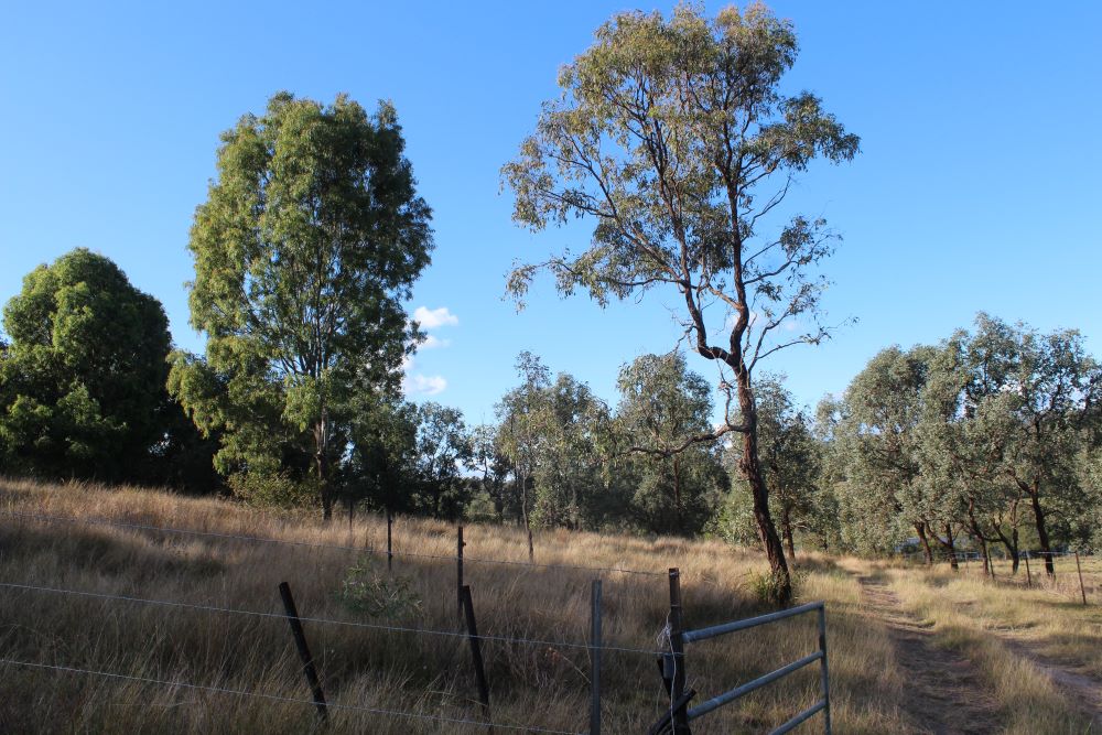 Burrundon | Rural Lakeside Photoshoot Location | Somerset, QLD