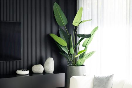 Onyx Coolum | Monochrome Minimalist Photoshoot Location | Coolum Beach, QLD