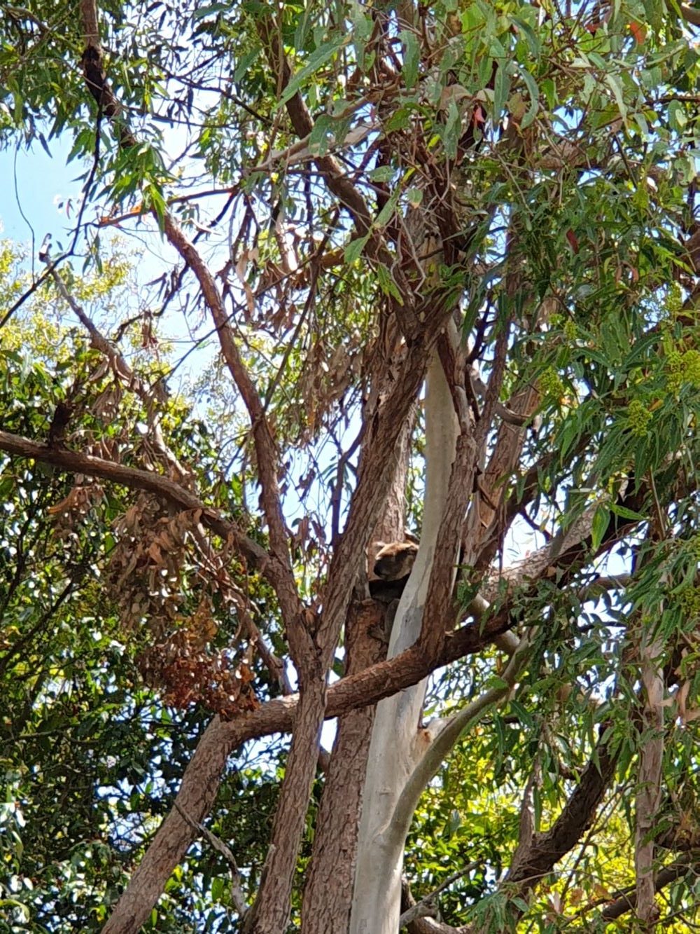 Burrundon | Rural Lakeside Photoshoot Location | Somerset, QLD