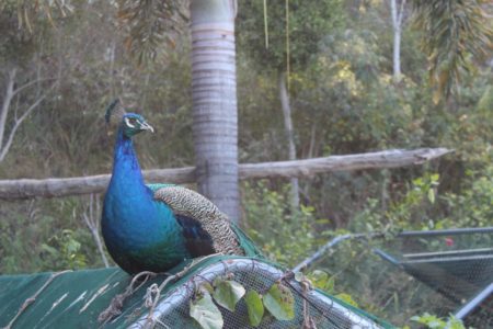 Burrundon | Rural Lakeside Photoshoot Location | Somerset, QLD