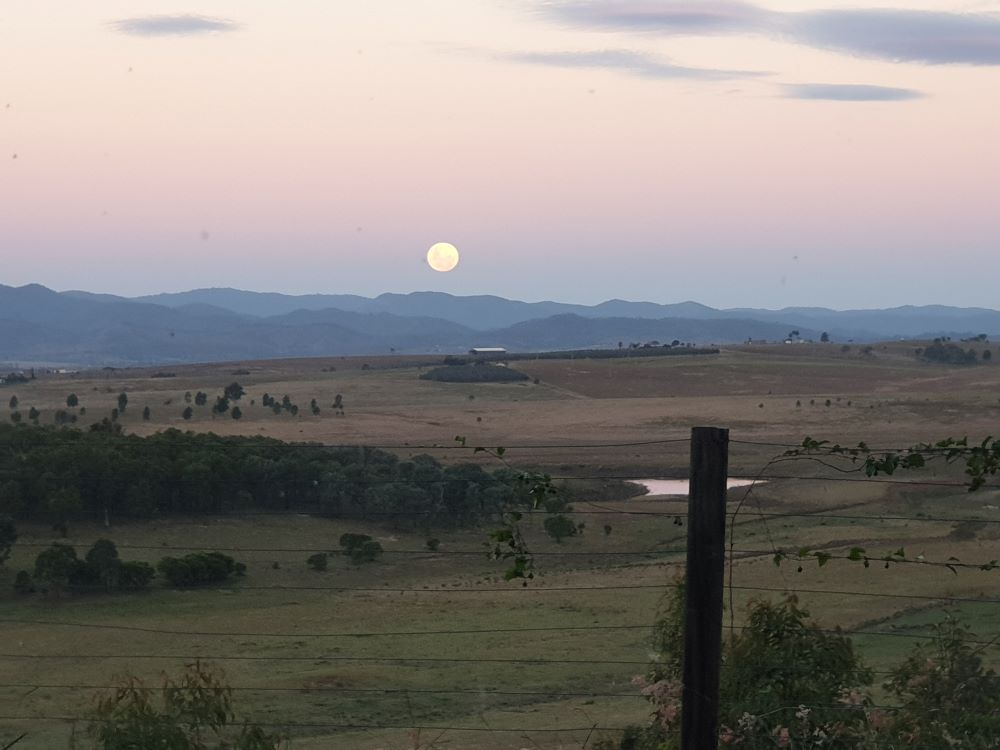 Burrundon | Rural Lakeside Photoshoot Location | Somerset, QLD