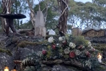 Treehouse | Whimsical Bushland Photoshoot Location | Colac Otway, VIC