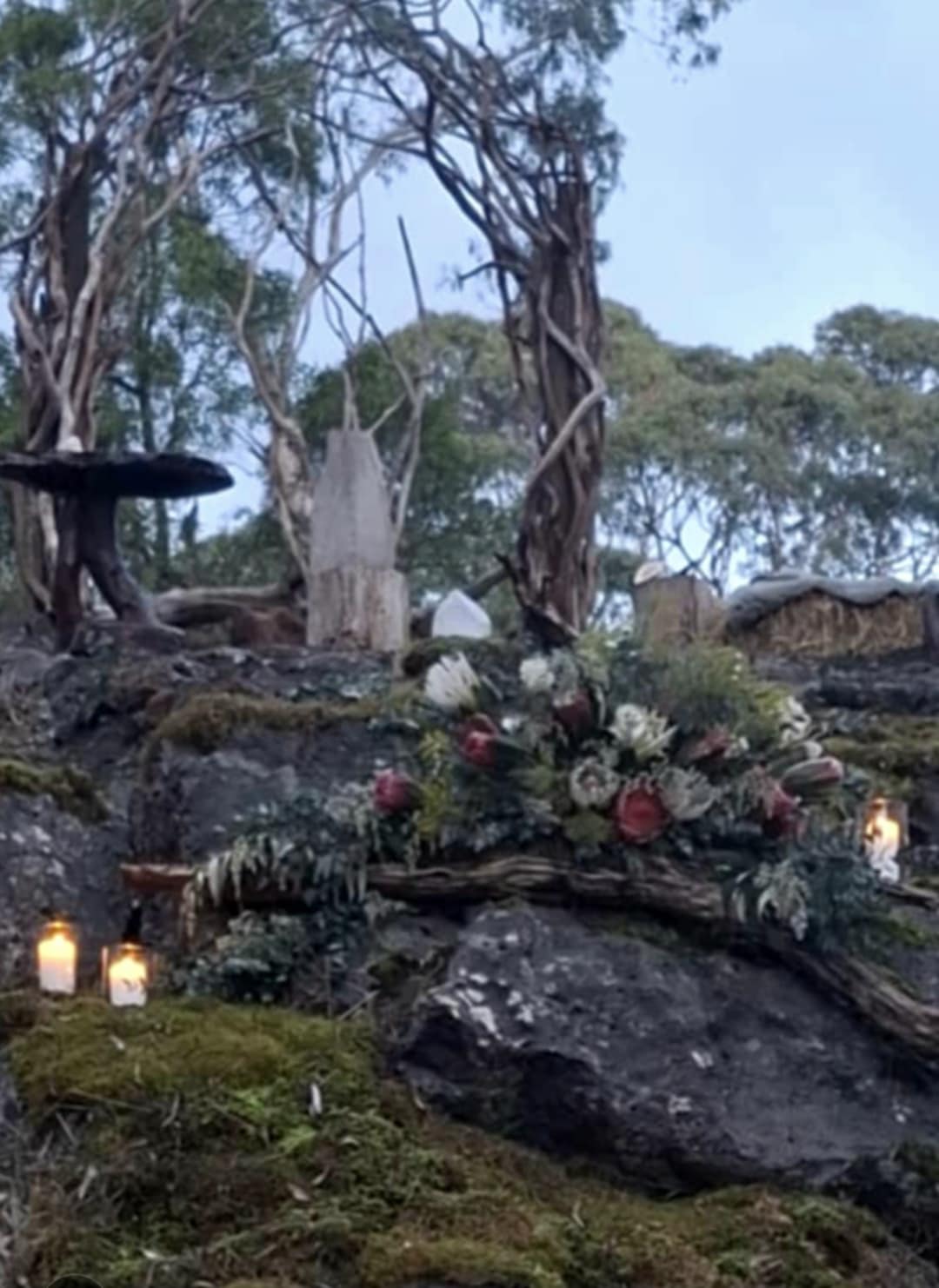 Treehouse | Whimsical Bushland Photoshoot Location | Colac Otway, VIC