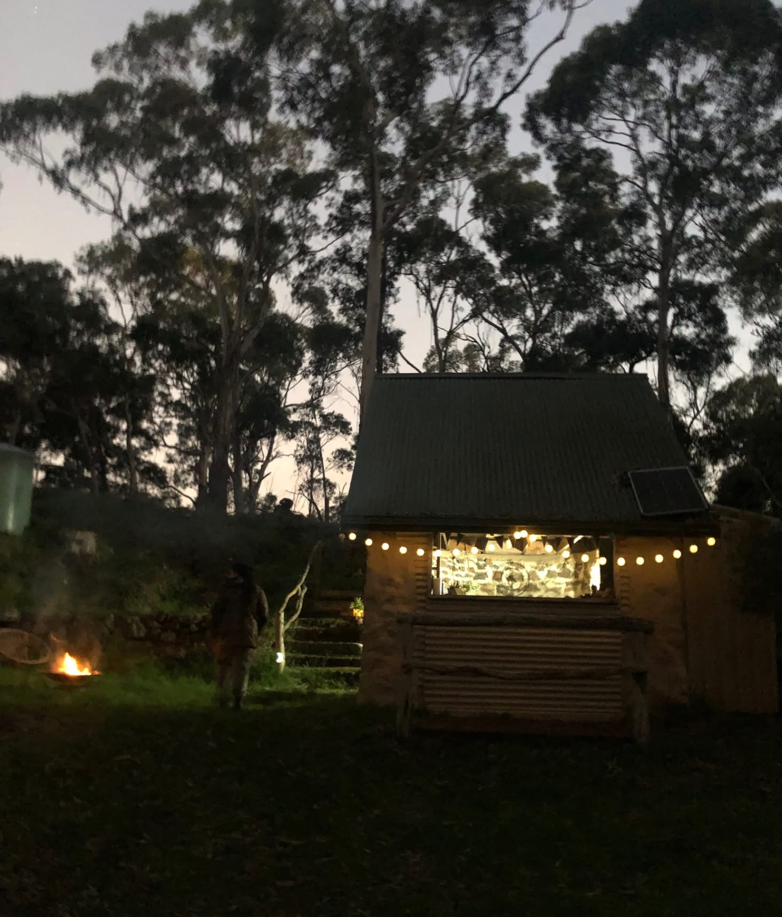 Treehouse | Whimsical Bushland Photoshoot Location | Colac Otway, VIC