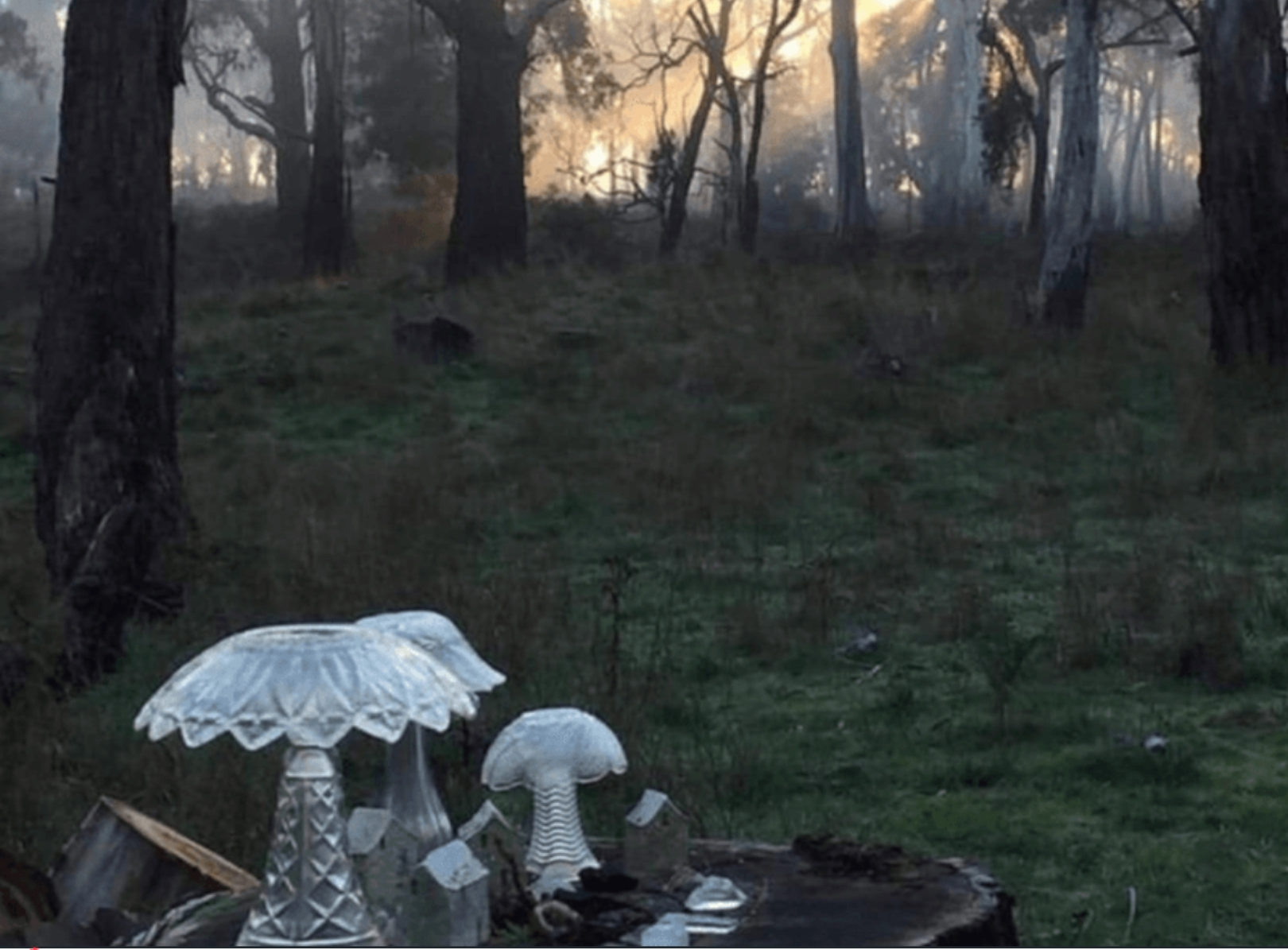 Treehouse | Whimsical Bushland Photoshoot Location | Colac Otway, VIC