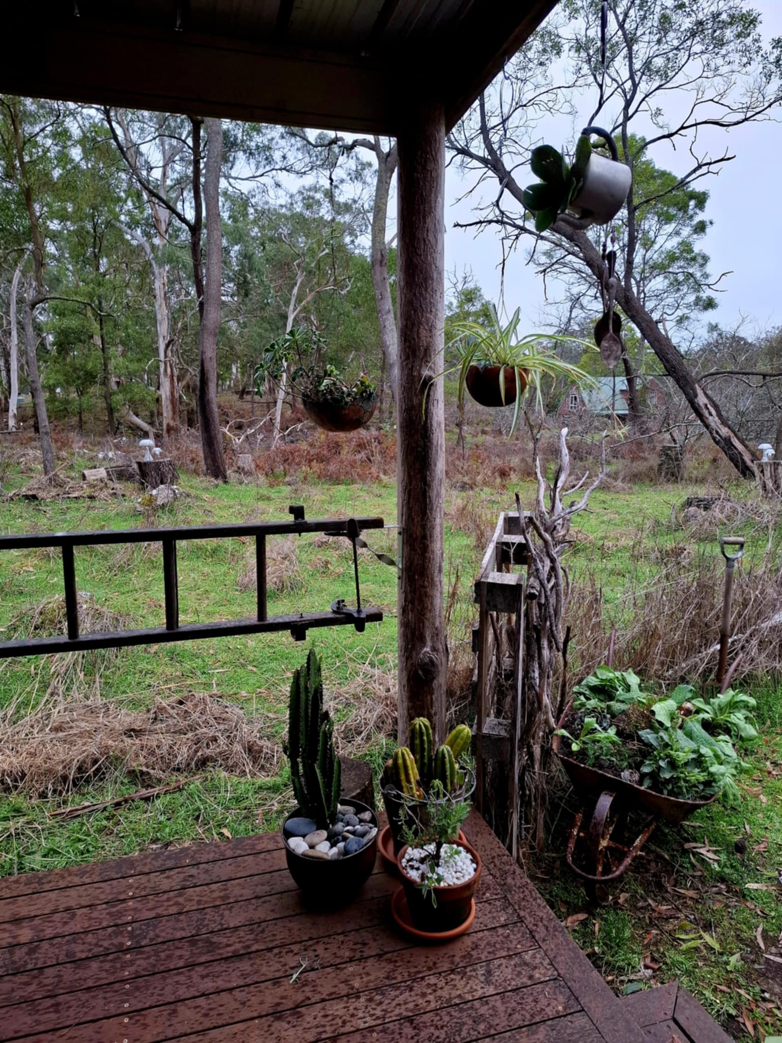 Crystal Cottage | Rustic Earthy Photoshoot Location | Colac Otway, VIC