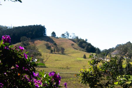 Rural Studio & Farm Photoshoot Location | Mooball, NSW