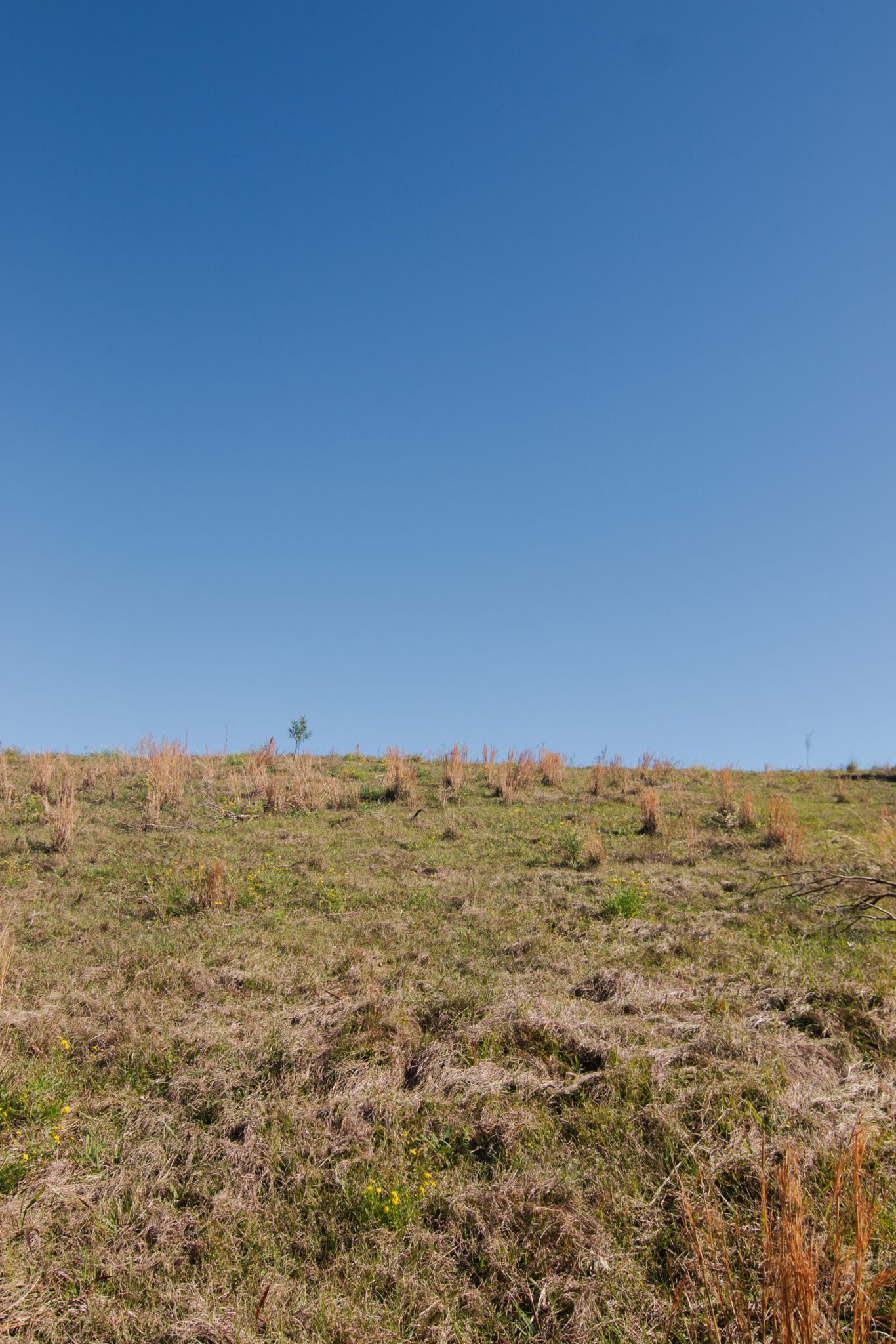 Rural Studio & Farm Photoshoot Location | Mooball, NSW
