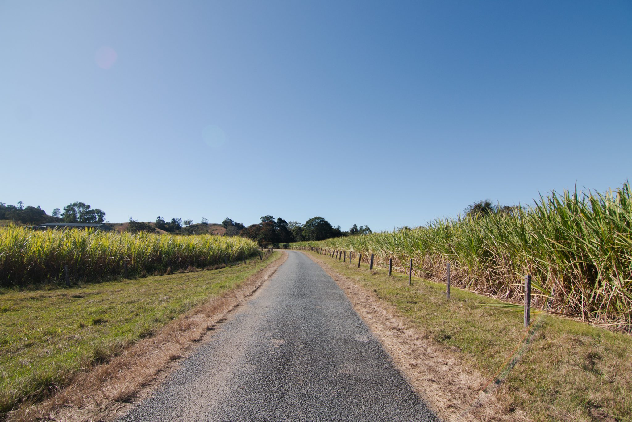 Rural Studio & Farm Photoshoot Location | Mooball, NSW