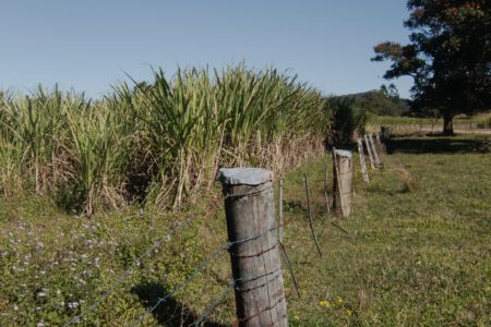 Rural Studio & Farm Photoshoot Location | Mooball, NSW