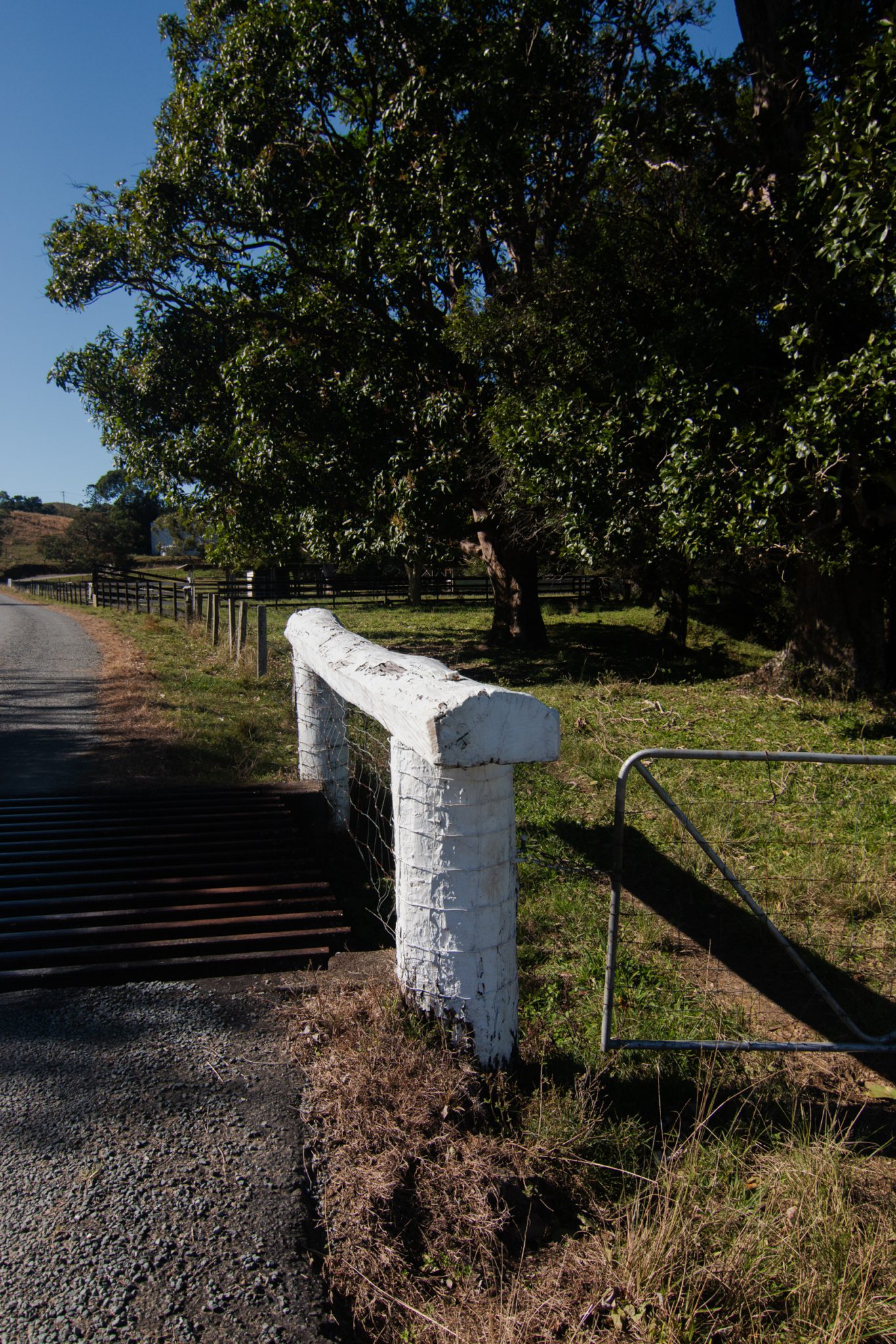 Rural Studio & Farm Photoshoot Location | Mooball, NSW
