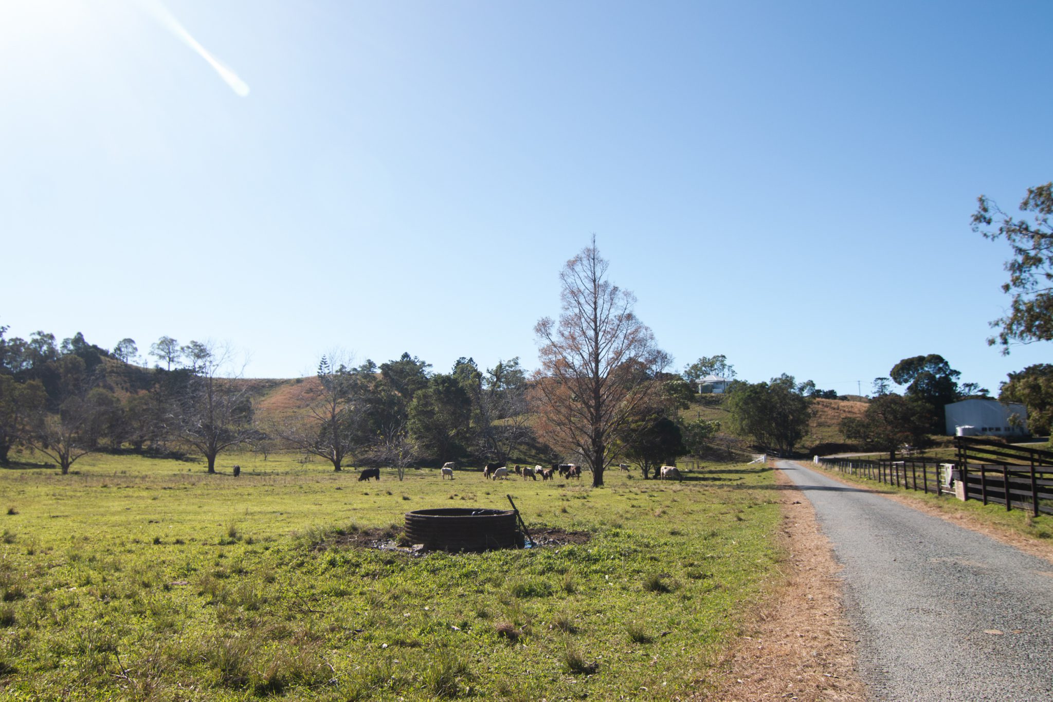 Rural Studio & Farm Photoshoot Location | Mooball, NSW