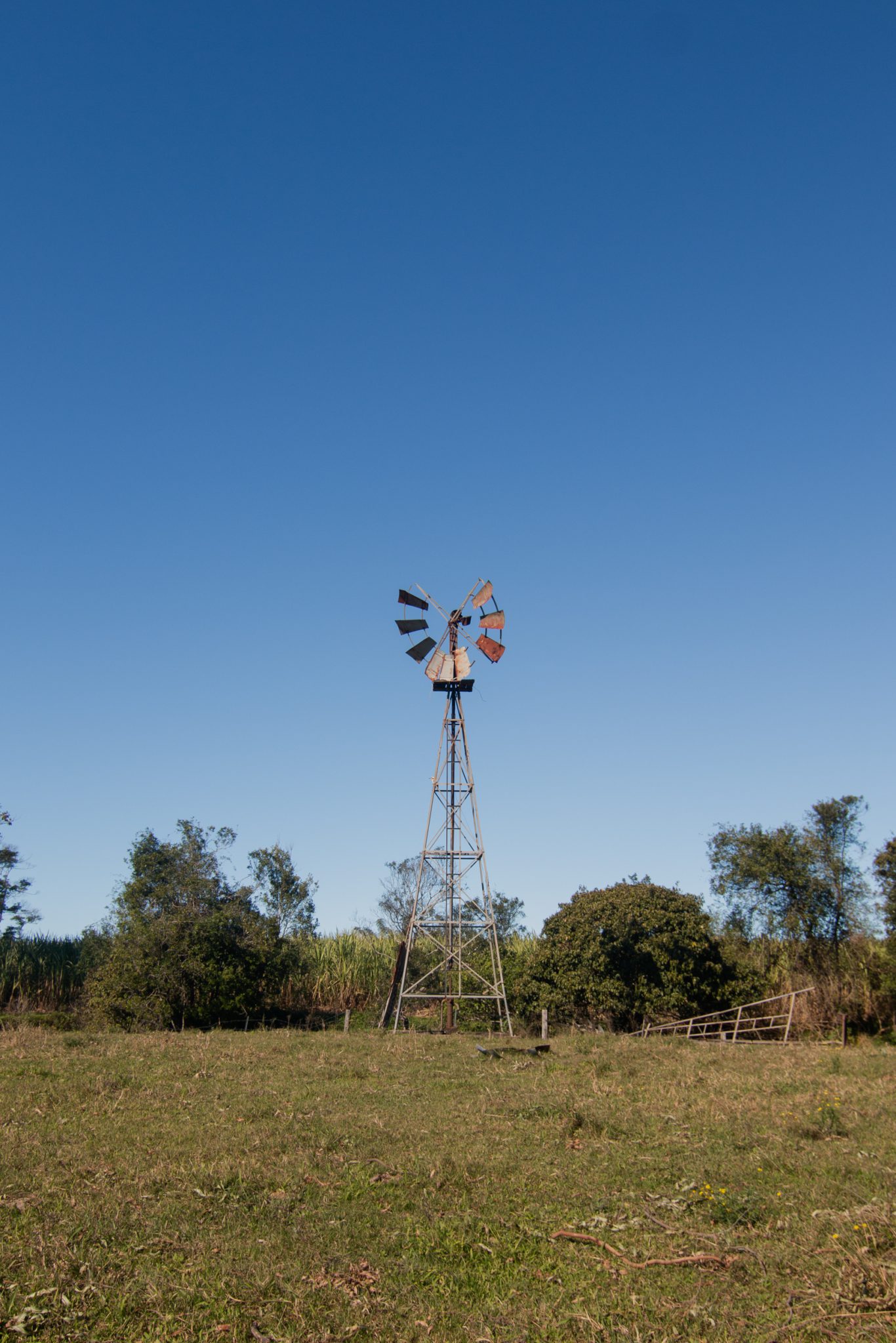 Rural Studio & Farm Photoshoot Location | Mooball, NSW
