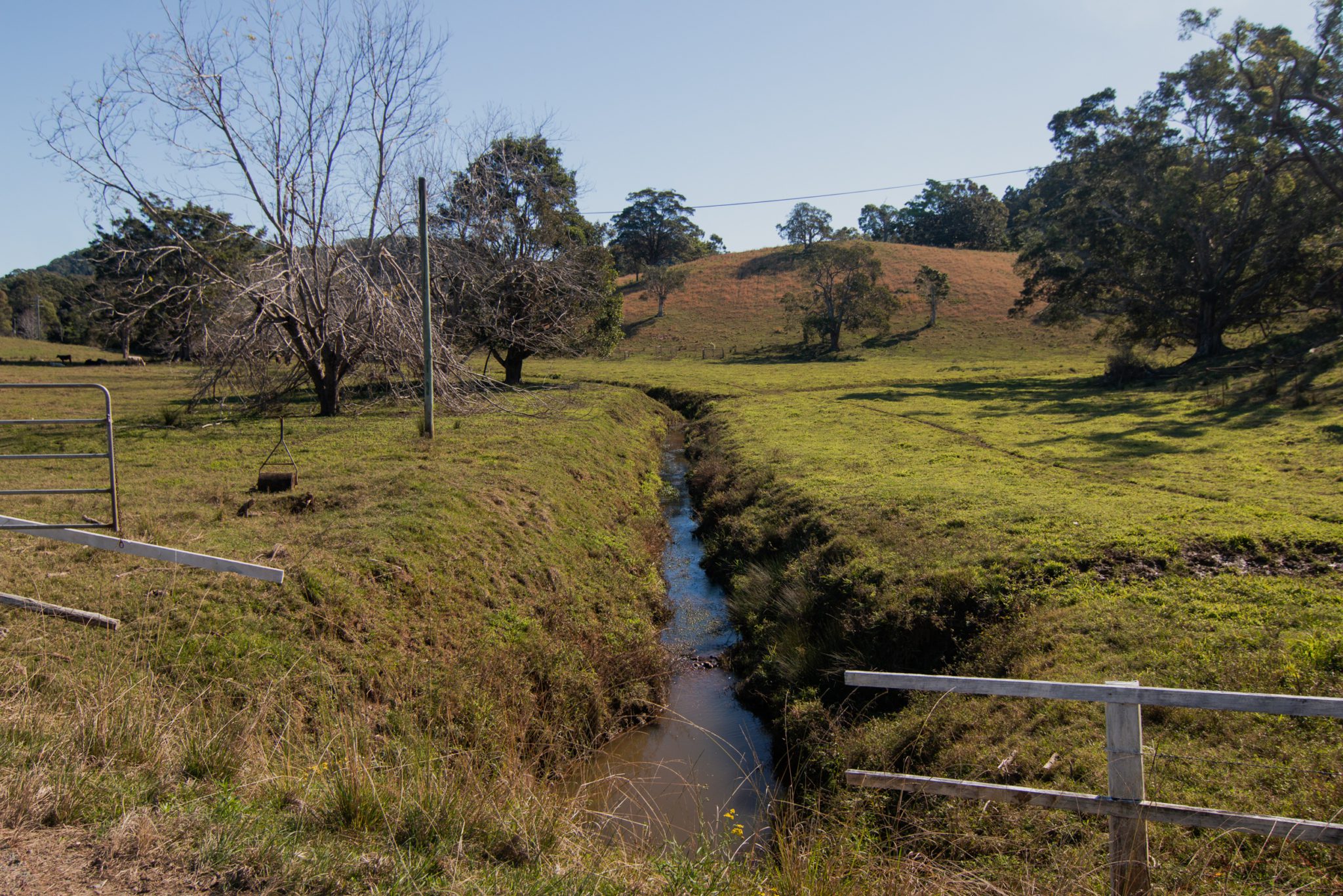 Rural Studio & Farm Photoshoot Location | Mooball, NSW
