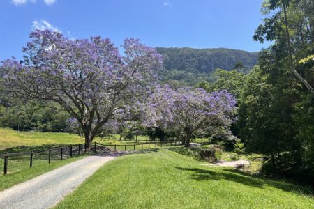 Longstone | Country Farm Photoshoot Location | Currumbin, QLD