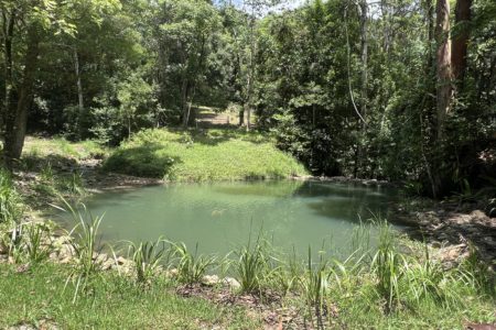 Longstone | Country Farm Photoshoot Location | Currumbin, QLD
