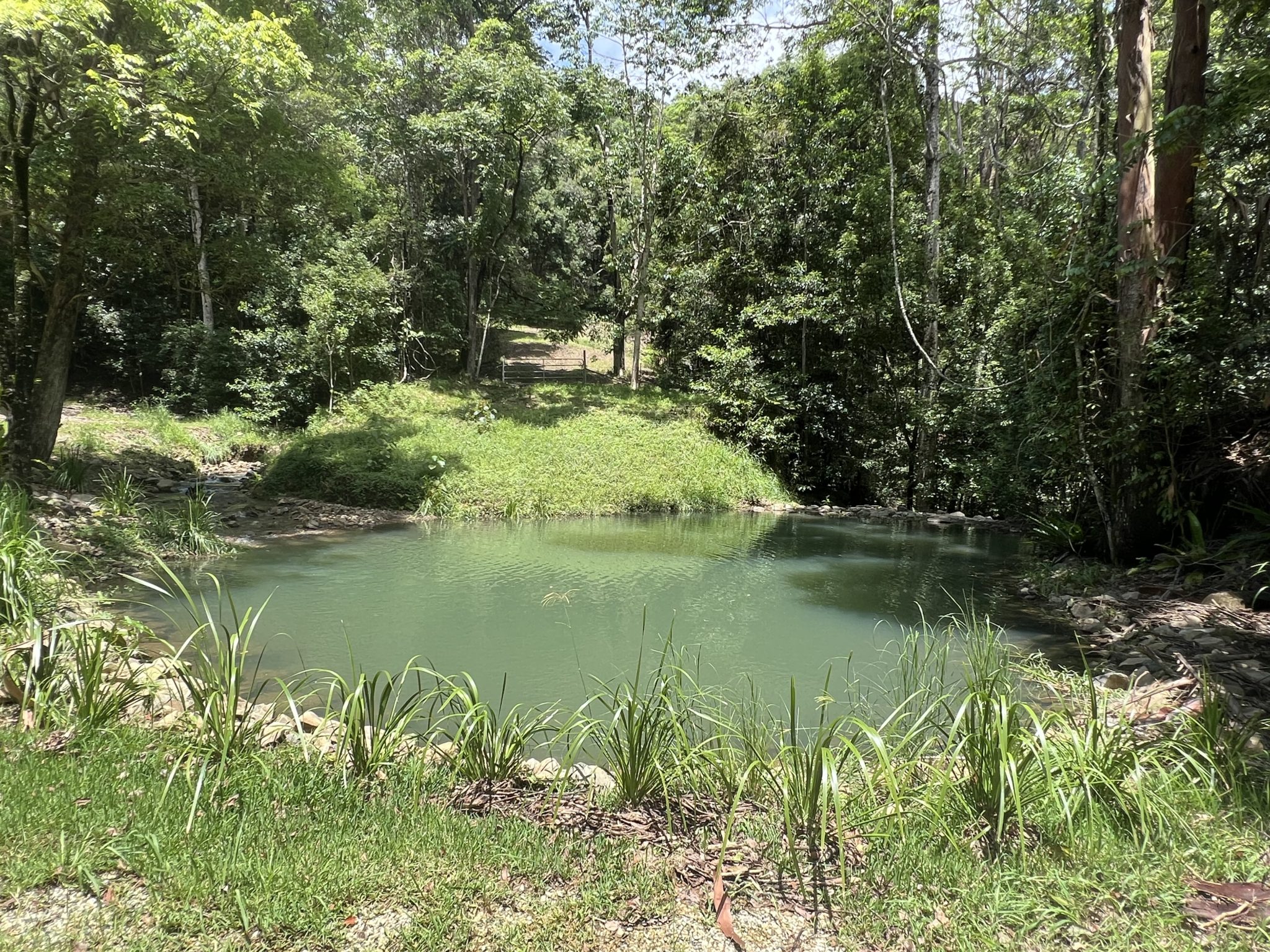 Longstone | Country Farm Photoshoot Location | Currumbin, QLD