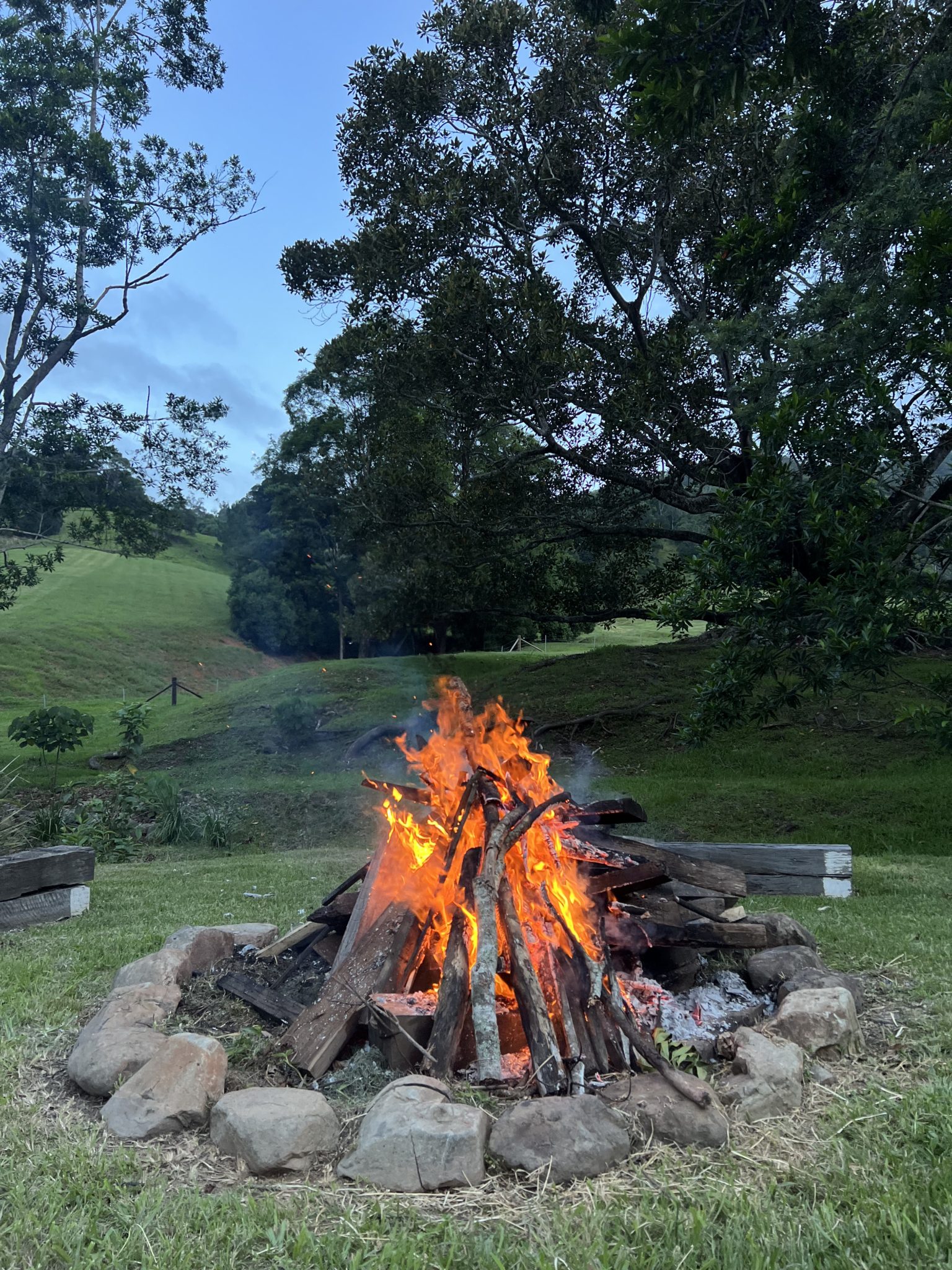 Longstone | Country Farm Photoshoot Location | Currumbin, QLD