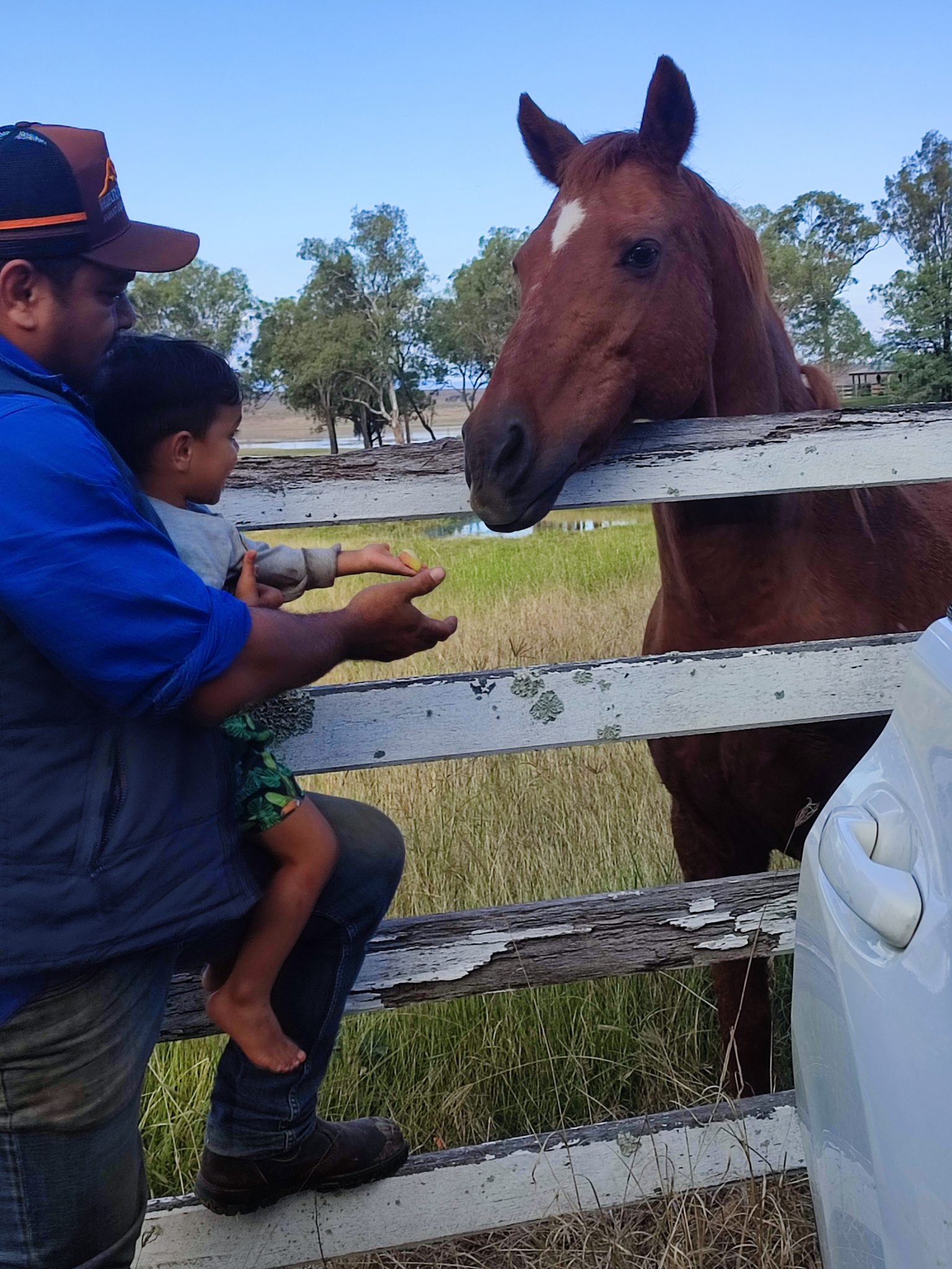 Burrundon | Rural Lakeside Photoshoot Location | Somerset, QLD