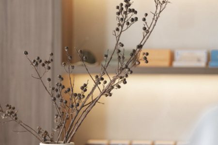 Vihara | Japandi Wellness Retreat Photoshoot Location | Parkdale, VIC