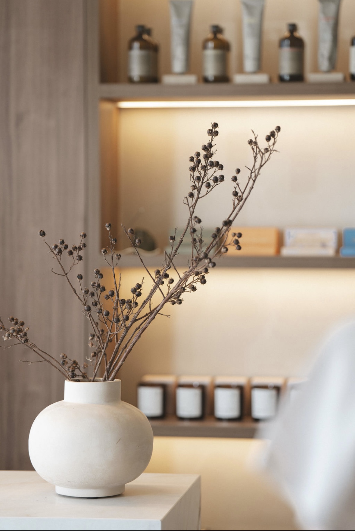 Vihara | Japandi Wellness Retreat Photoshoot Location | Parkdale, VIC