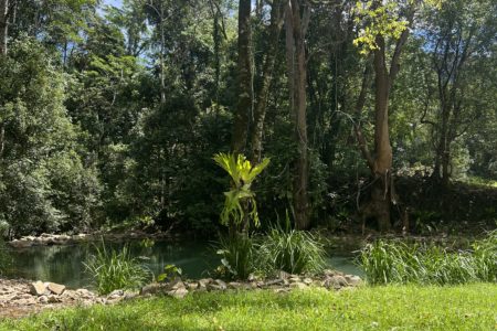 Longstone | Country Farm Photoshoot Location | Currumbin, QLD