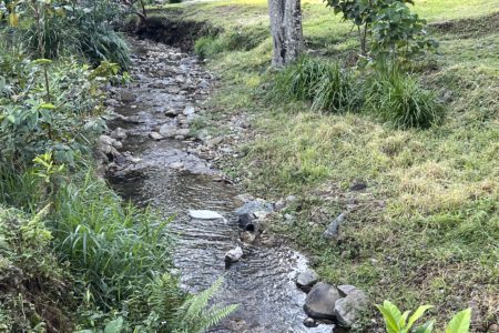 Longstone | Country Farm Photoshoot Location | Currumbin, QLD