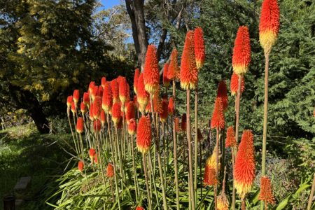 Mount Eliza Bluestone Estate | Editorial-Style Photoshoot Location | Mount Eliza, VIC