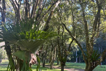 Creekside Hideaway | Rustic Outdoor Photoshoot Location | Gold Coast, QLD
