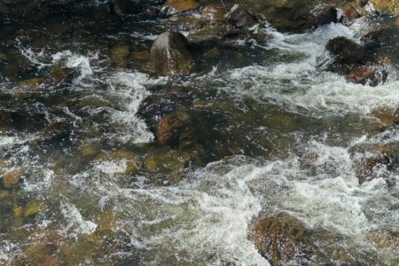 Creekside Hideaway | Rustic Outdoor Photoshoot Location | Gold Coast, QLD