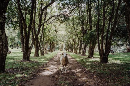 Creekside Hideaway | Rustic Outdoor Photoshoot Location | Gold Coast, QLD