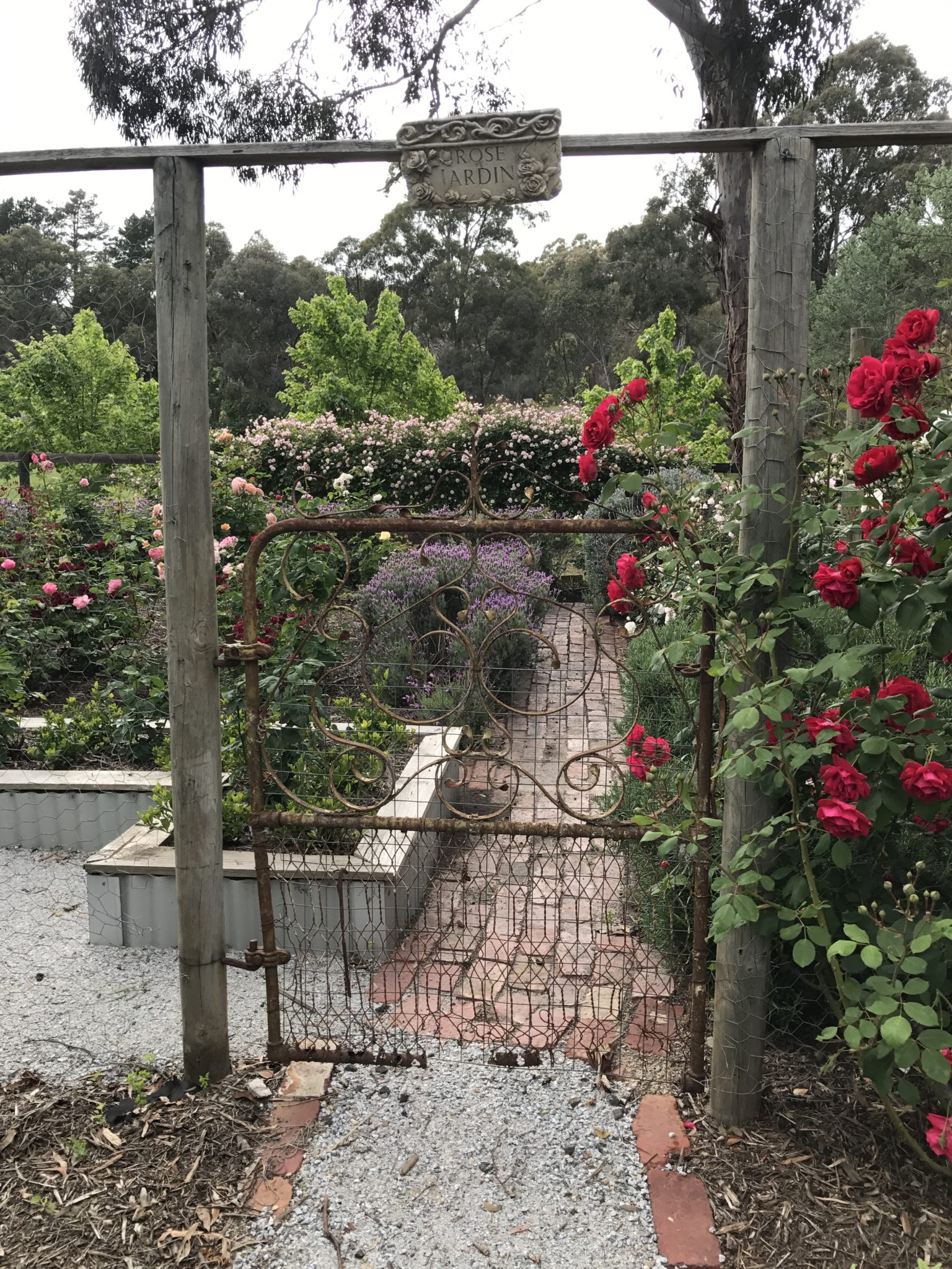 Victorian Miners Cottage | Whimsical Heritage Photoshoot Location | Nutfield, VIC