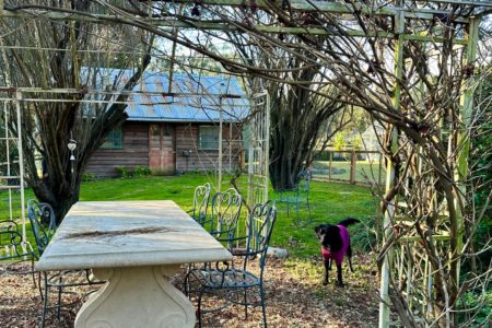 Victorian Miners Cottage | Whimsical Heritage Photoshoot Location | Nutfield, VIC