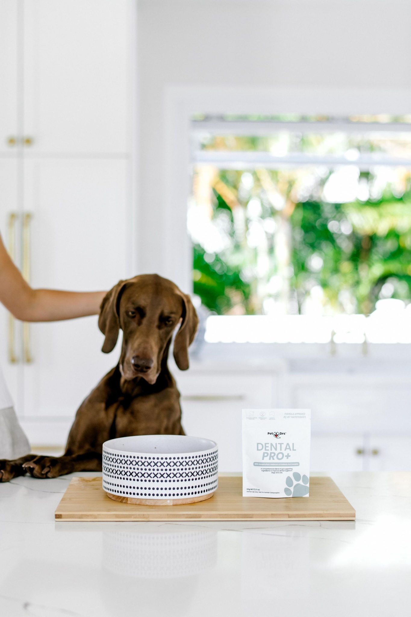 Chirn Park Cottage | Coastal Hamptons Photoshoot Location | Gold Coast, QLD