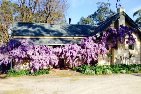 Victorian Miners Cottage | Whimsical Heritage Photoshoot Location | Nutfield, VIC