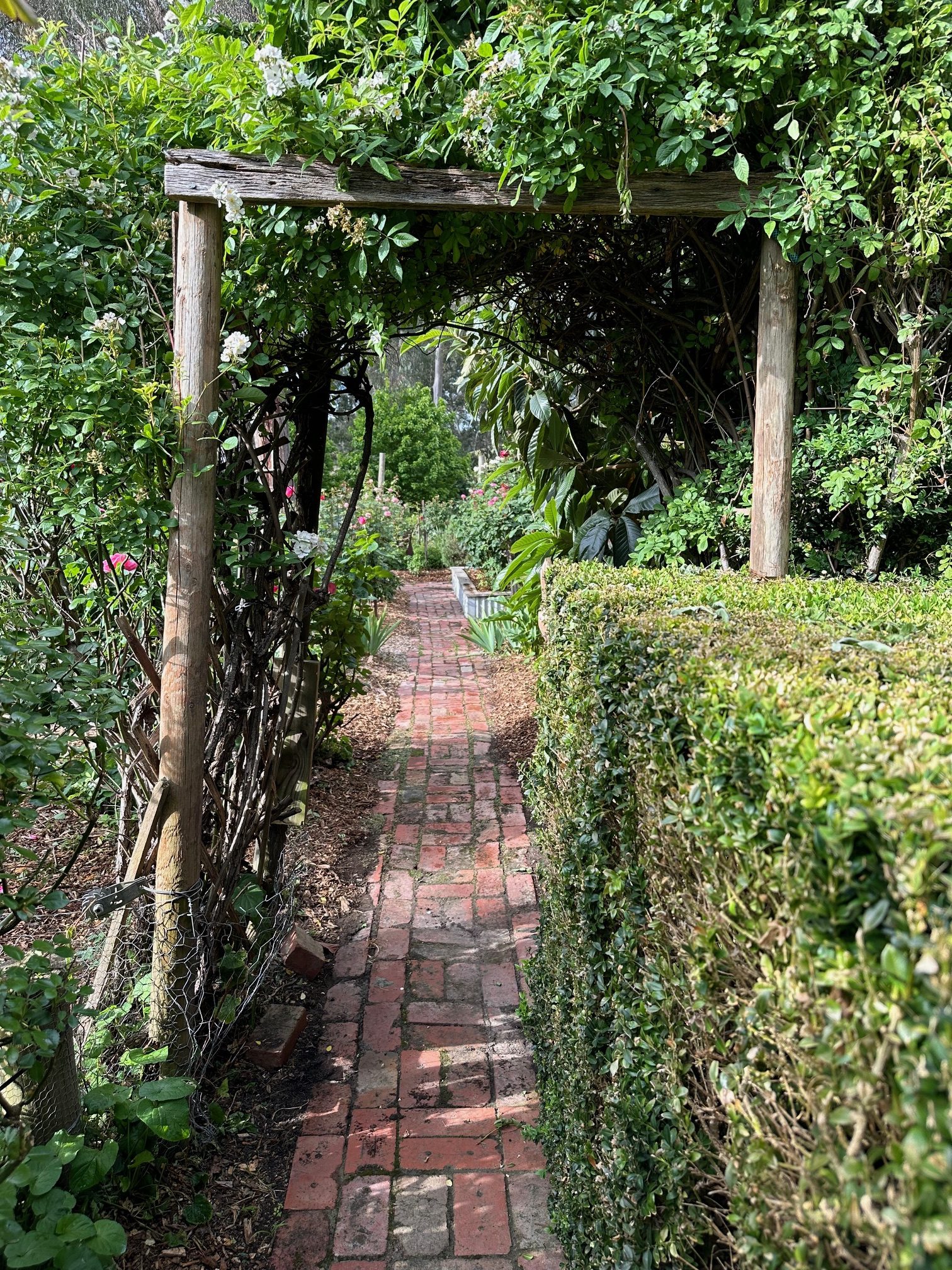 Victorian Miners Cottage | Whimsical Heritage Photoshoot Location | Nutfield, VIC