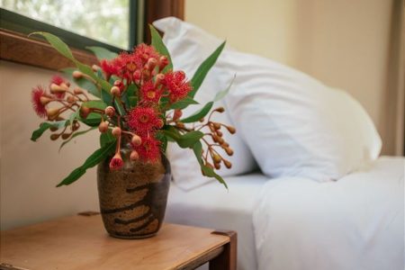 Woodbine | Rustic Midcentury Homestead Photoshoot Location | Forster, NSW