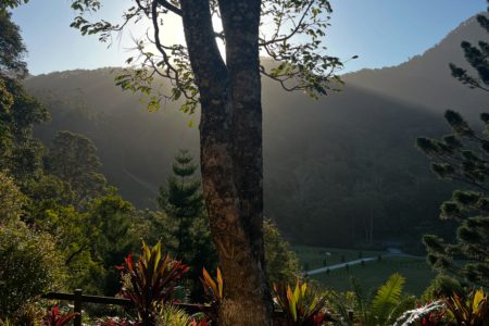 Longstone | Country Farm Photoshoot Location | Currumbin, QLD