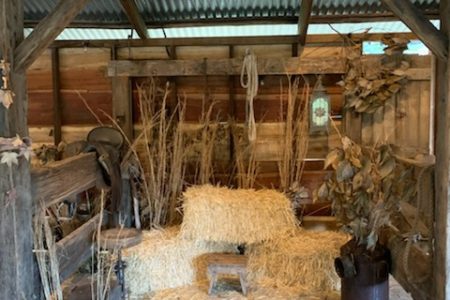 Longstone | Country Farm Photoshoot Location | Currumbin, QLD