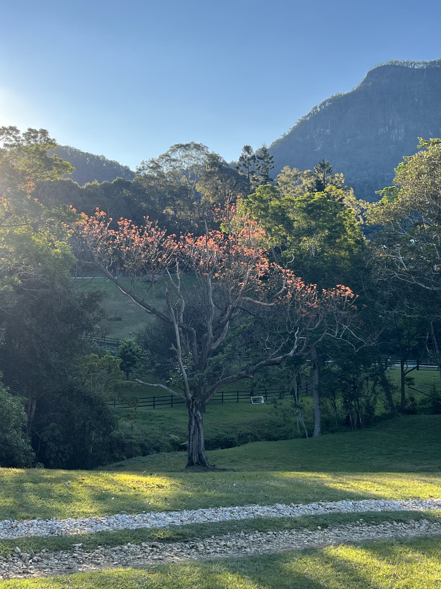 Longstone | Country Farm Photoshoot Location | Currumbin, QLD