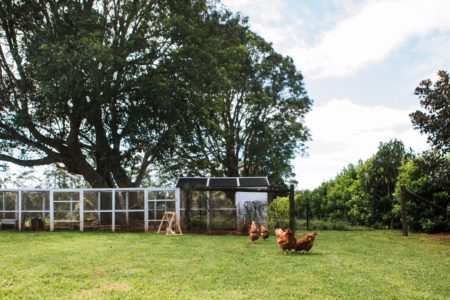 Luxury Gold Coast Hinterland Estate – Cinematic Shoot Location with Pool & Tennis Court