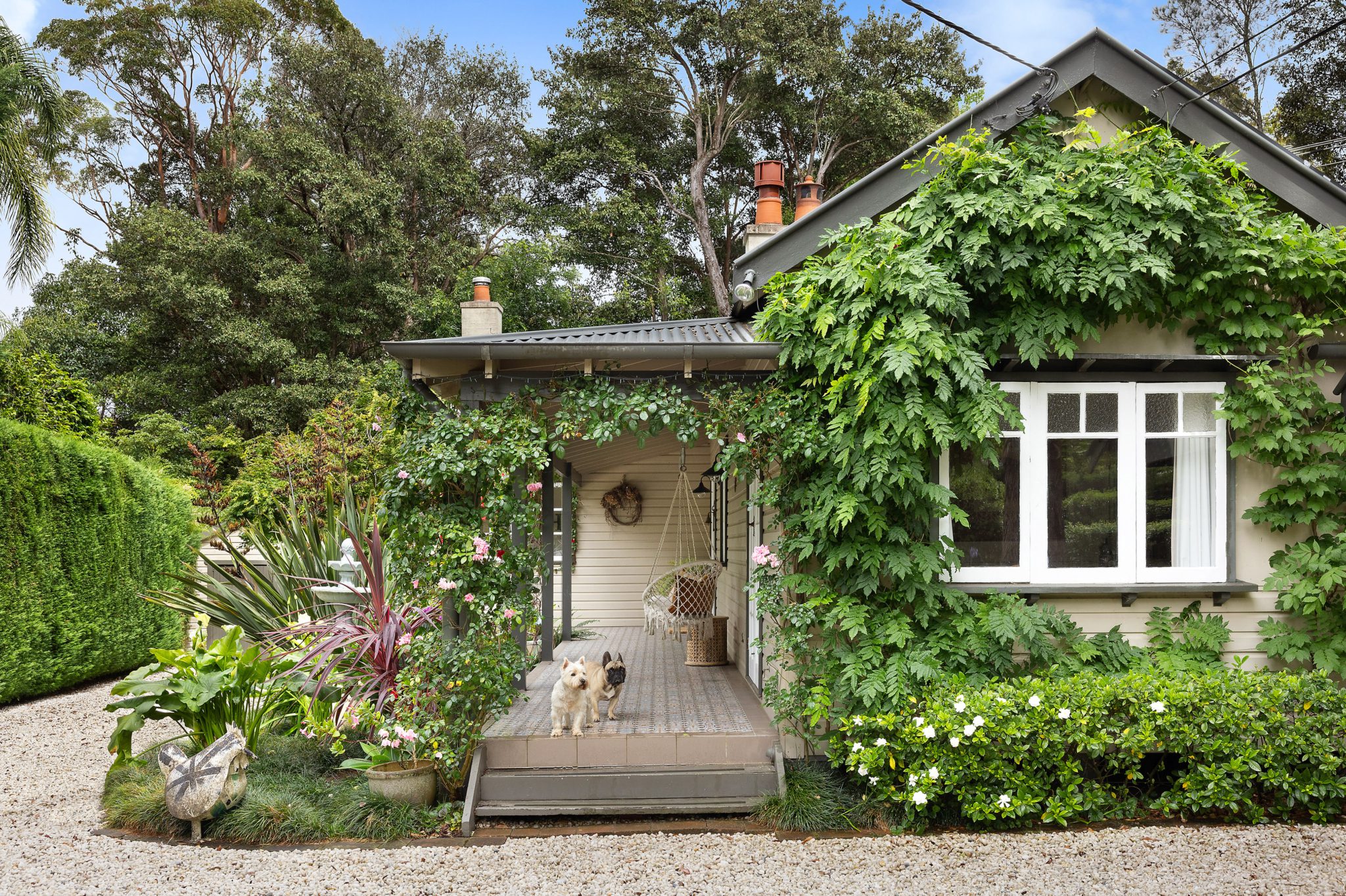Unique Weatherboard Workers Cottage | Eclectic Shoot Location with Mediterranean Pool | Ku-ring-gai, NSW