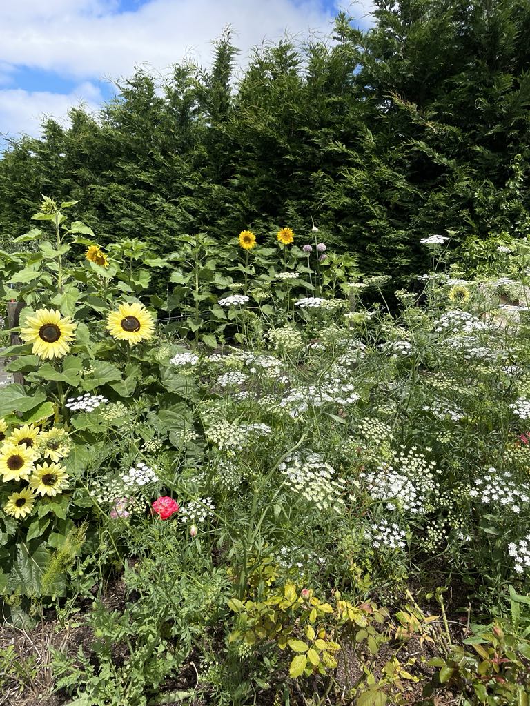 Cottonwood Farm | Rustic French Provincial Photoshoot Location | Mornington Peninsula, VIC