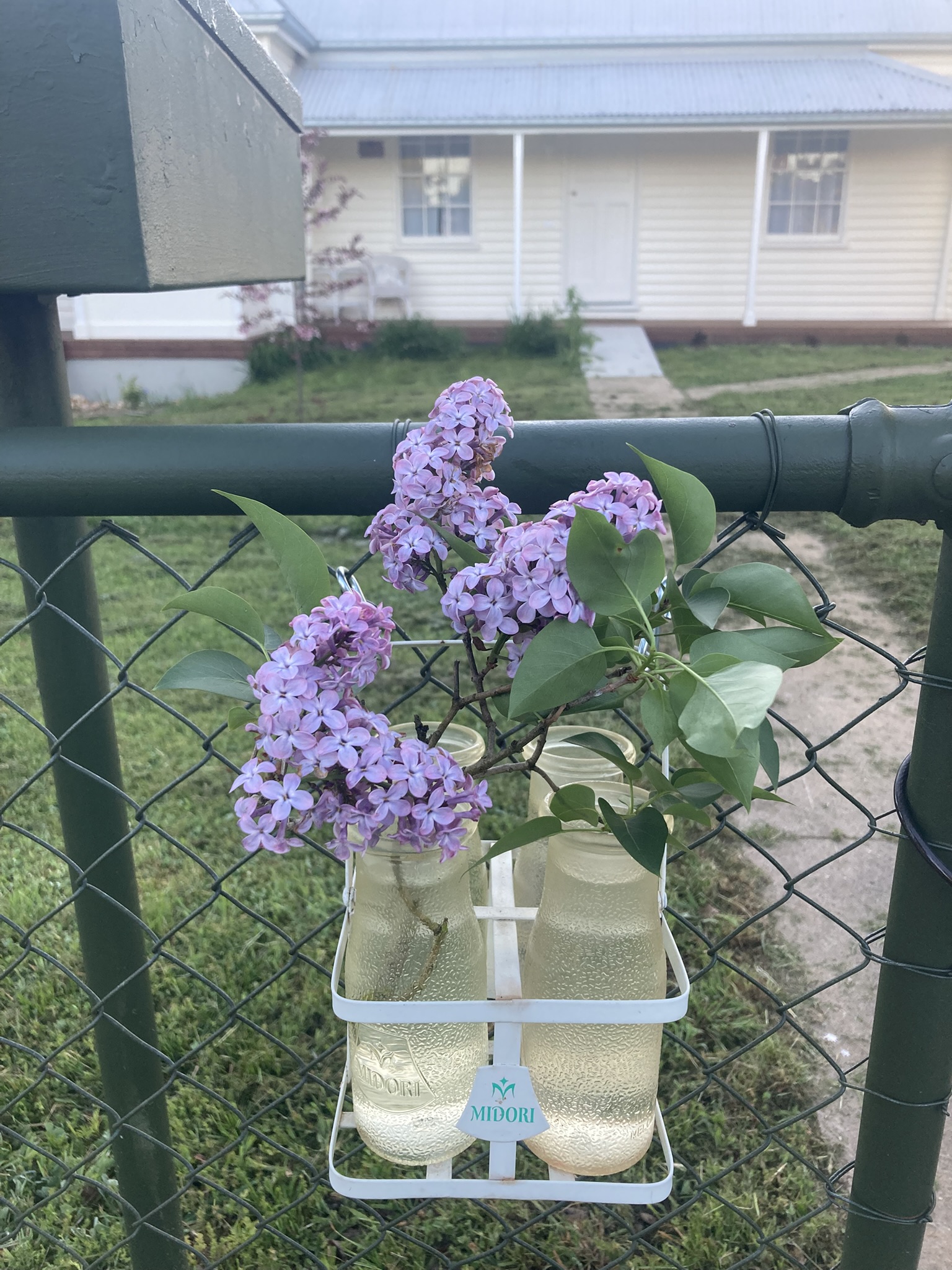 Newbridge Schoolhouse | Historic Shoot Location | Blayney, NSW