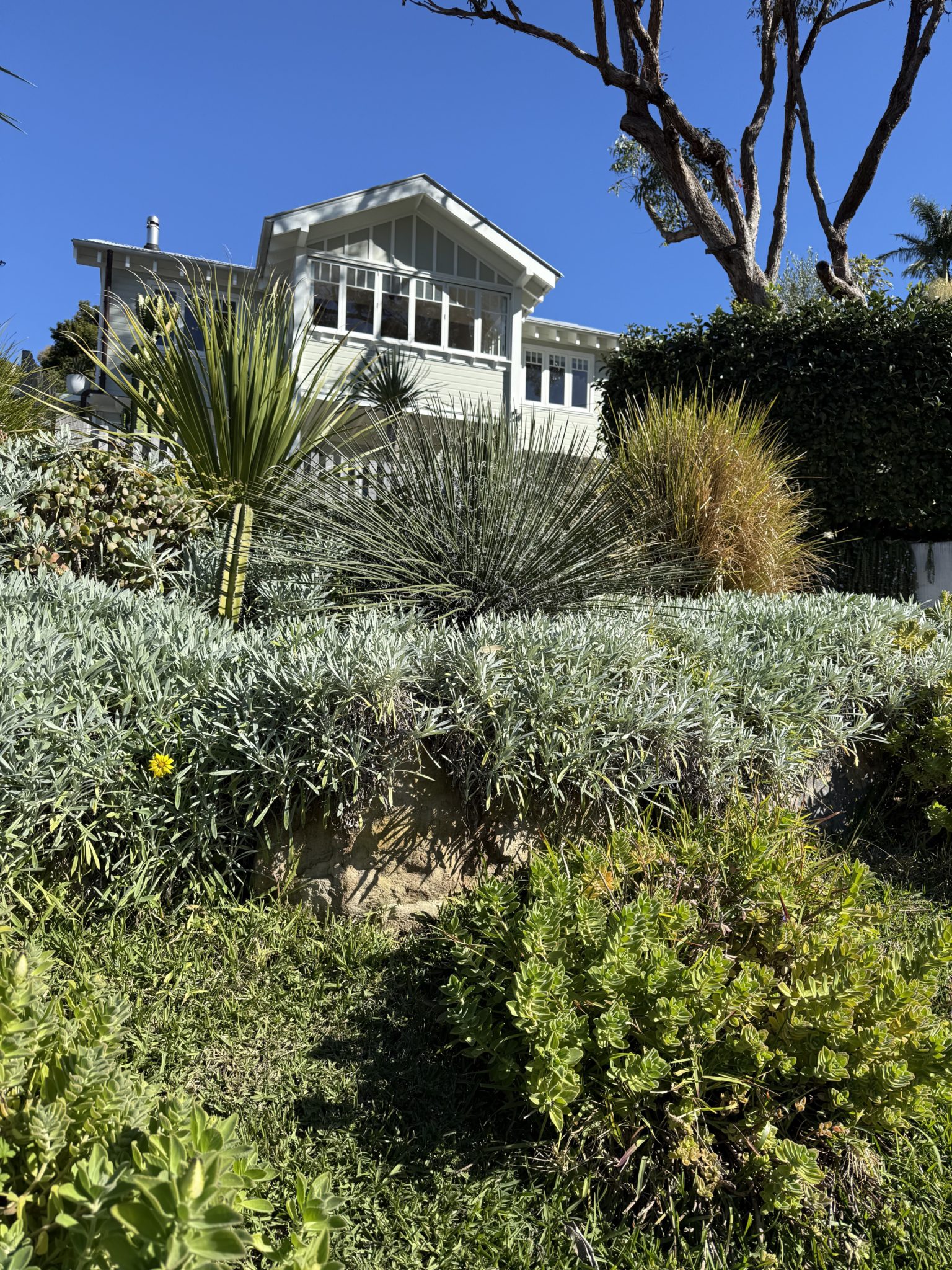 Treetops Beach House | Coastal Shoot Location | Northern Beaches, NSW