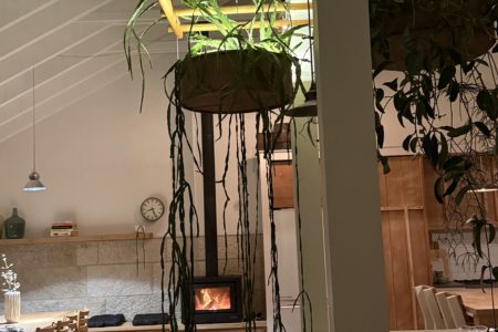 Treetops Beach House | Coastal Shoot Location | Northern Beaches, NSW